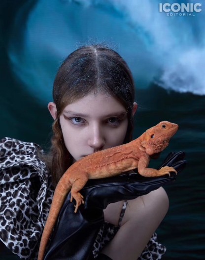 6-anastasiya-shamanina-main-book